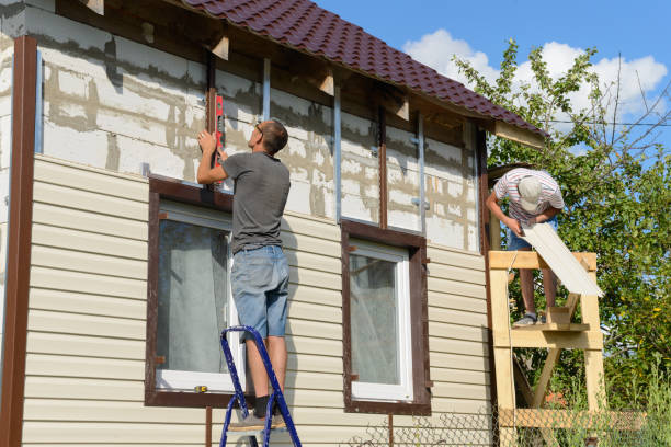 Best Stone Veneer Siding  in Tazewell, VA